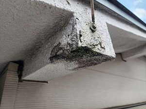 モルタル剥がれ